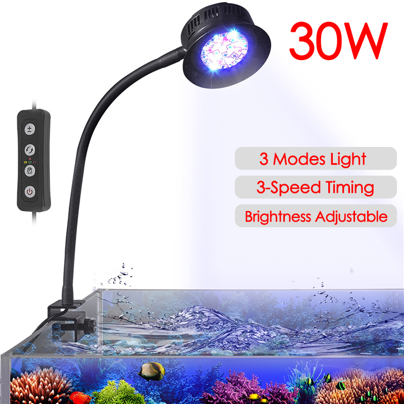 Aquarium Marine Fishes - 30 W Aquarium Aquarium Meer Wasser