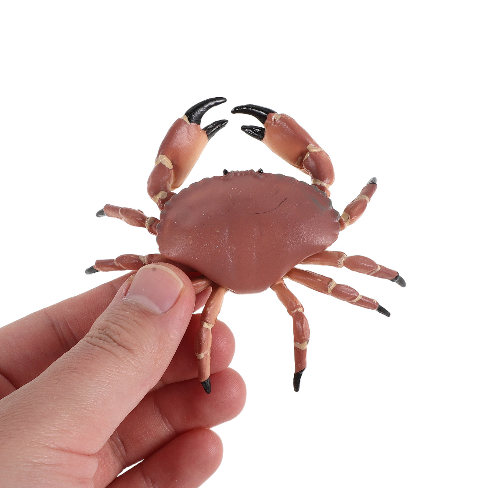 Marine Aquarium Europe - 3-teiliges Set Realistische Plastik-Krabbenfiguren Lebensechte Meerestier-Simulation