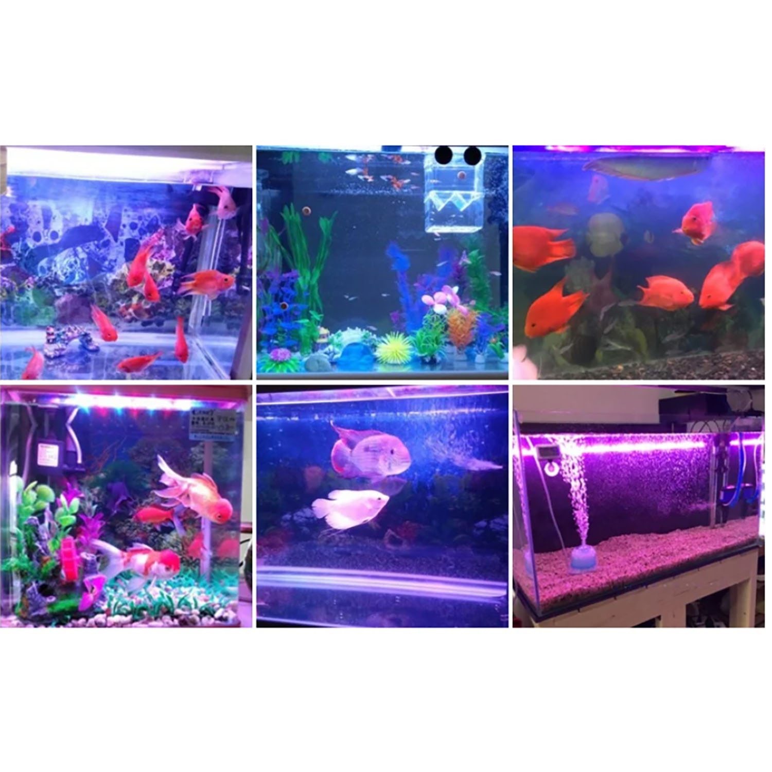 Aquarium Blue Marine - 50W 60W 70W 100W RGB 26-28V