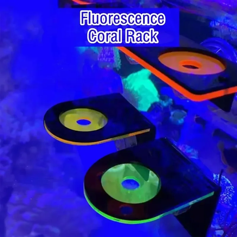 Aquarium Marine Fishes - Aquarium Acryl Fluoreszierende Korallen Klammern Halter