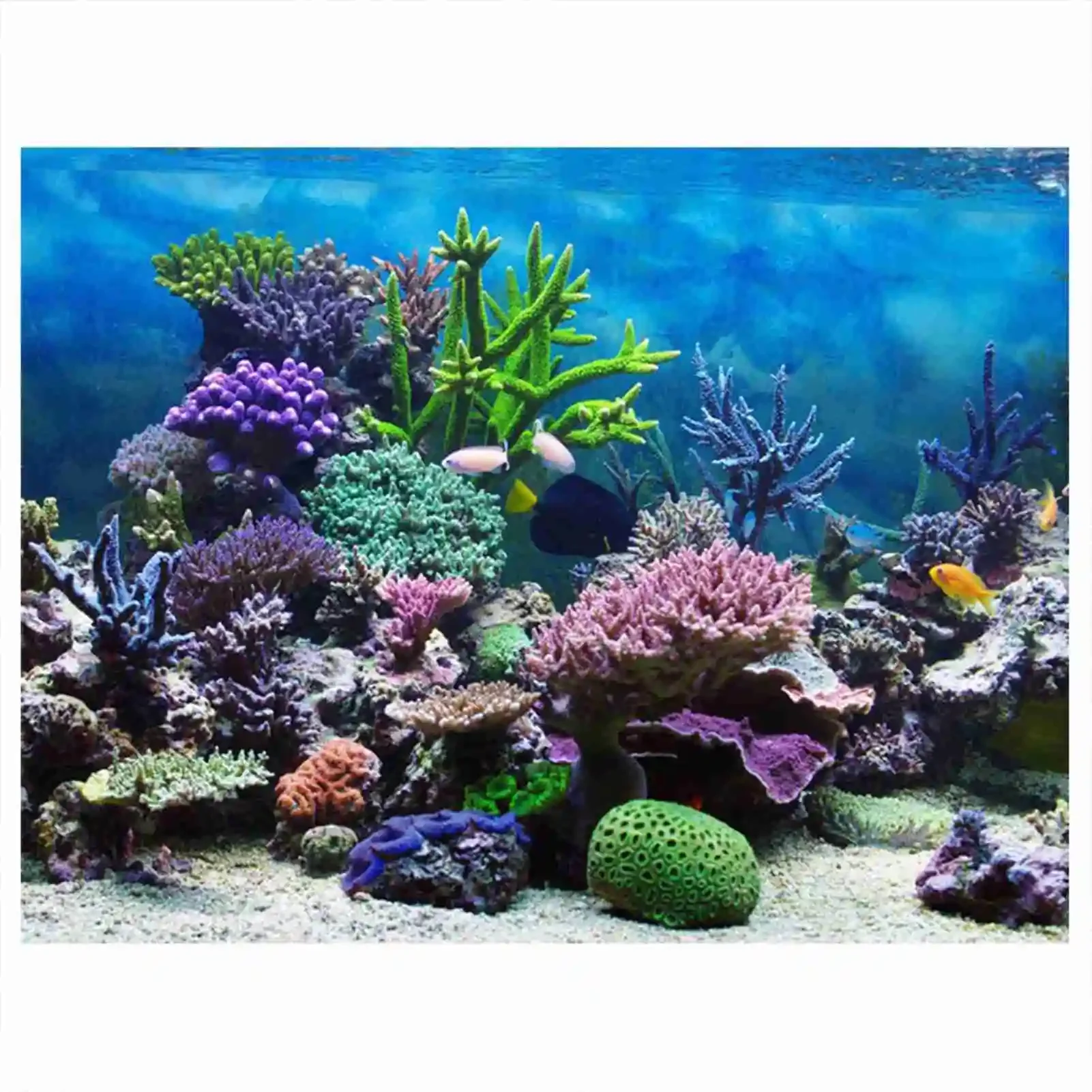 Marine Aquarium Glue - 3d Aquarium Landschaft Poster Regenwald Tapete