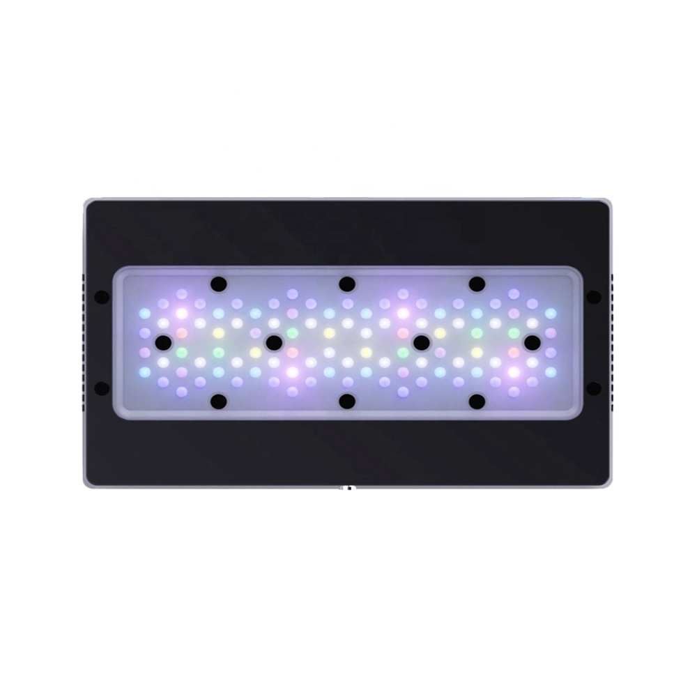 Aquarium Blue Marine - A8SE II Max und Blue 240W
