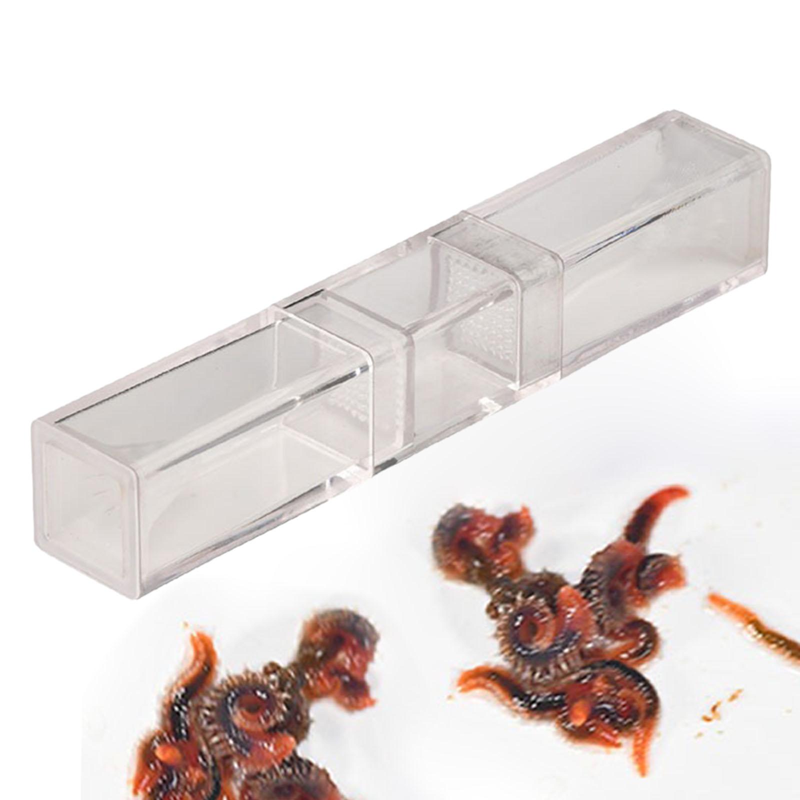 Marine Aquarium Worms - Aquarium Planaria Catcher für Cherry Shrimp