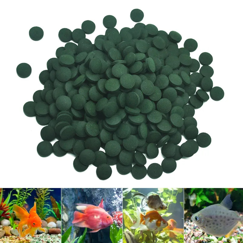 100–3000 Stück hochreine Spiru – Marine Aquarium Bacteria Bewertung und Preis