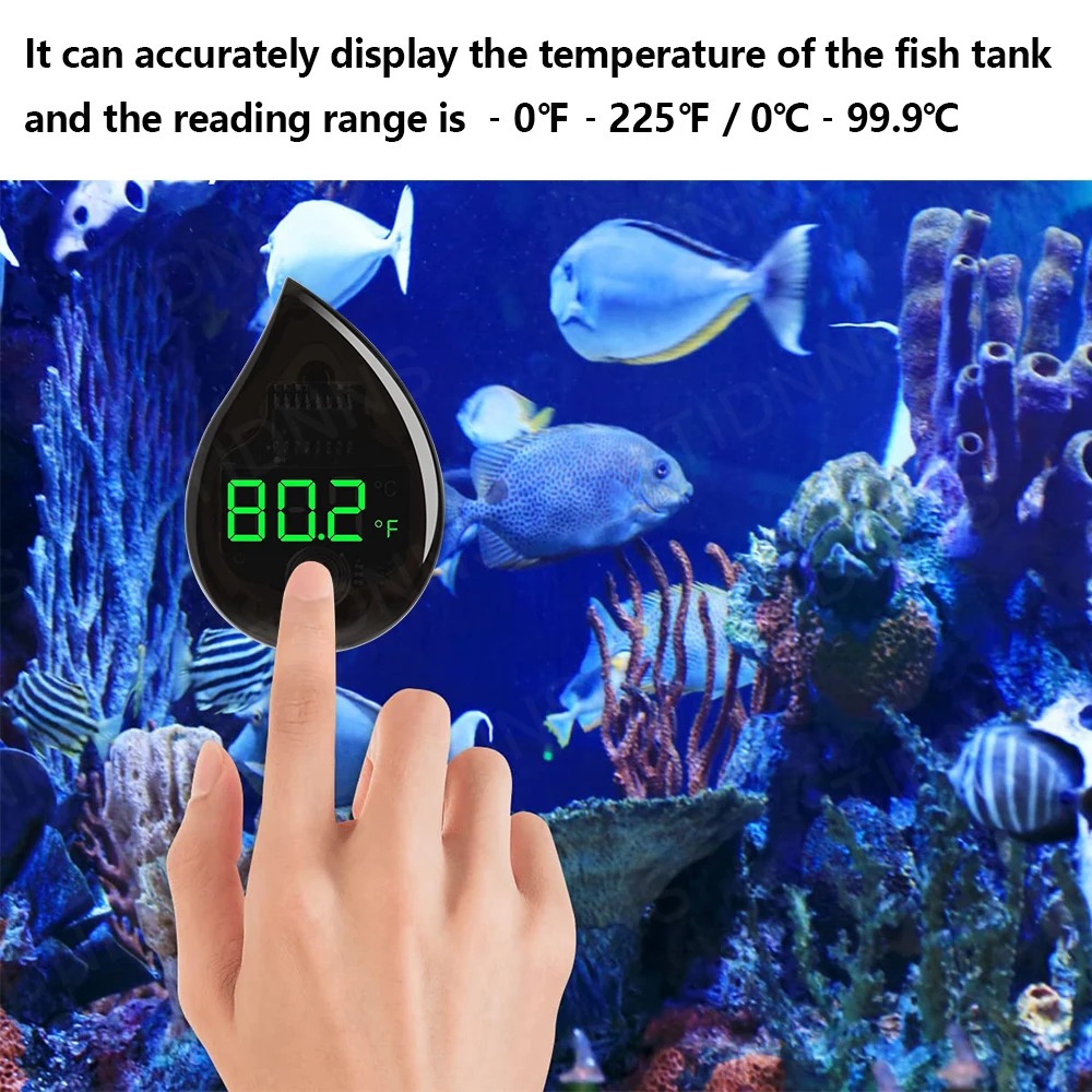 Aquarium Selbstklebendes Therm – Marine Aquarium Glue Bewertung und Preis