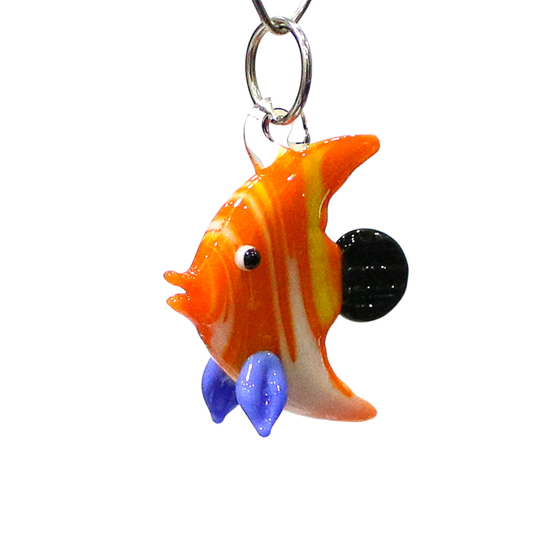 2 Stück Bunte Mini Meeresfisch – Marine Aquarium Europe Bewertung und Preis