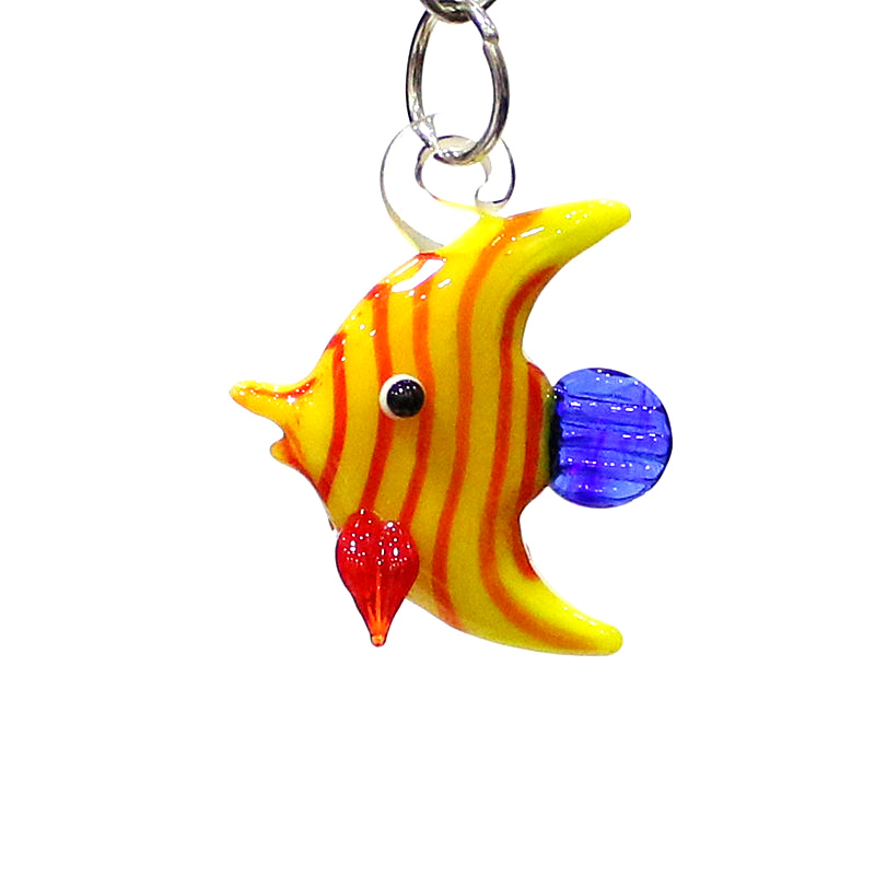 2 Stück Bunte Mini Meeresfisch – Marine Aquarium Europe Bewertung und Preis