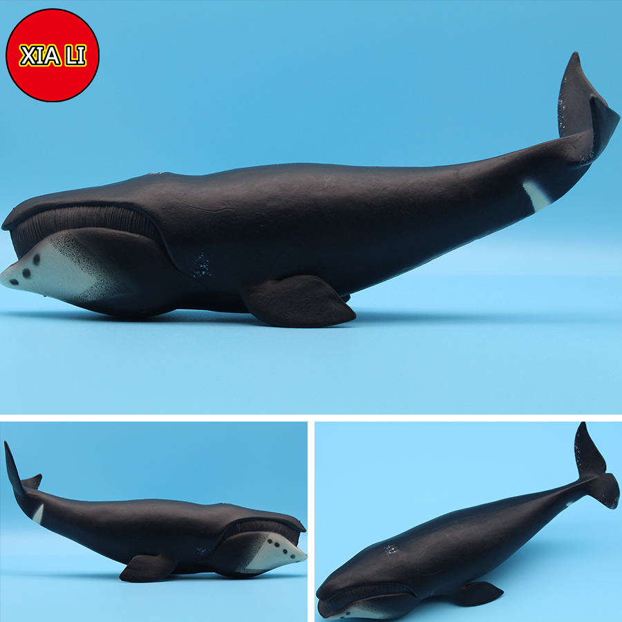 Meereslebewesen-Simulation: Ki – Aquarium Blue Marine Bewertung und Preis