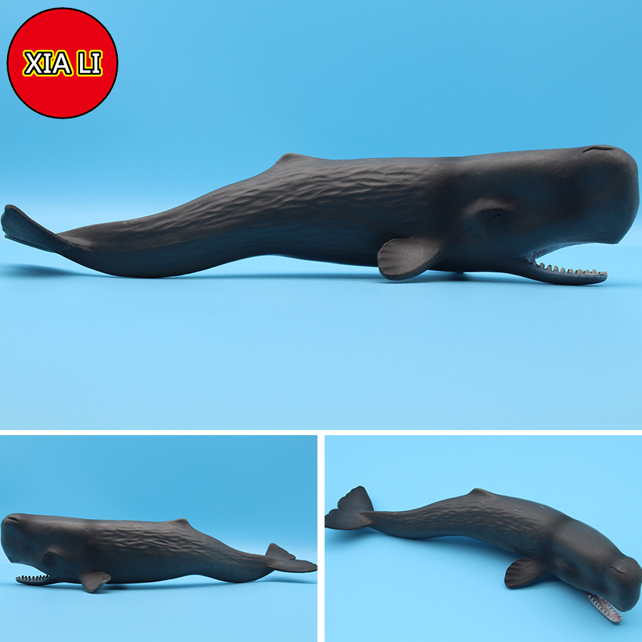 Meereslebewesen-Simulation: Ki – Aquarium Blue Marine Bewertung und Preis