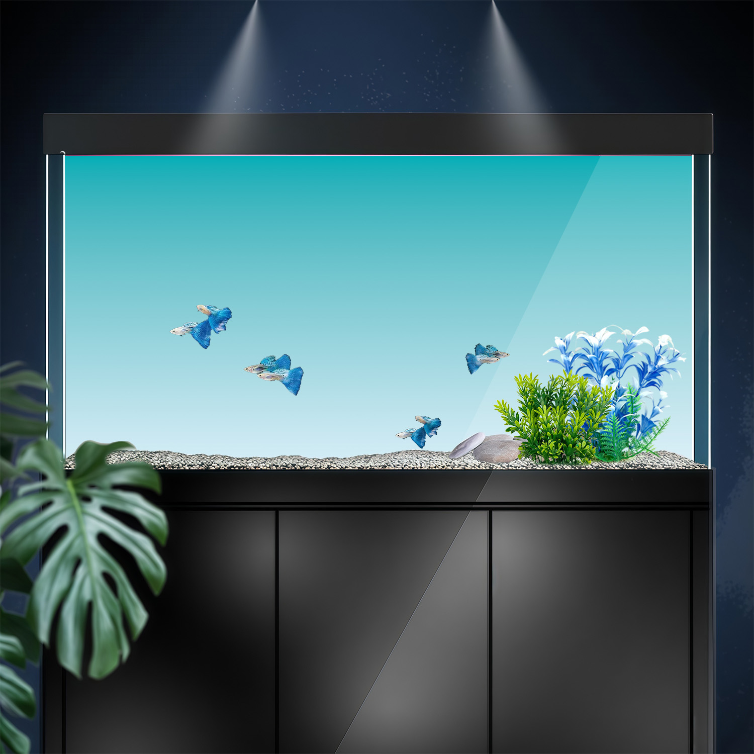 Blau-Weißer Farbverlauf, Aquar – Marine Aquarium Glue Bewertung und Preis