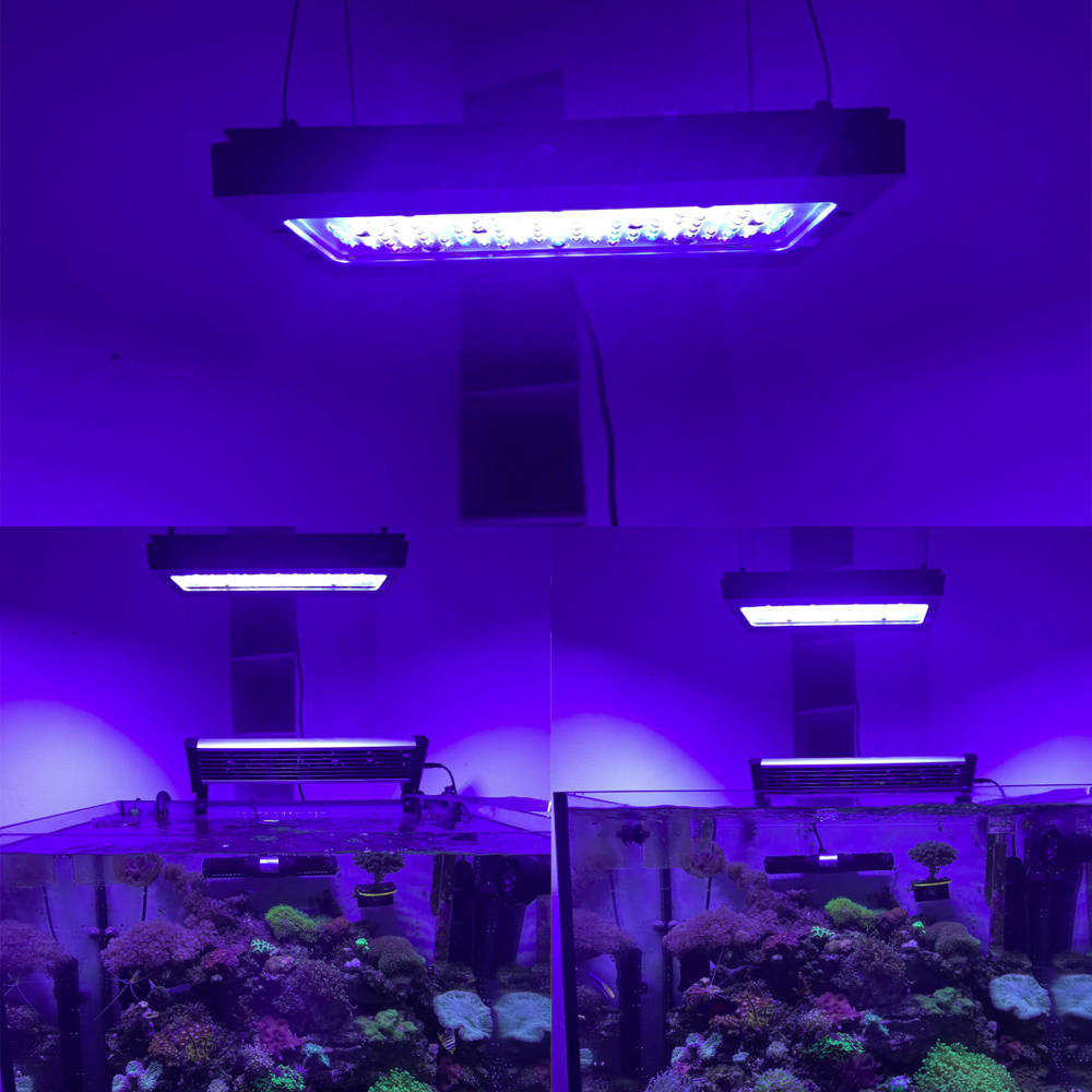 A8SE pro II MAX Blau 240W Mari – Aquarium Blue Marine Bewertung und Preis