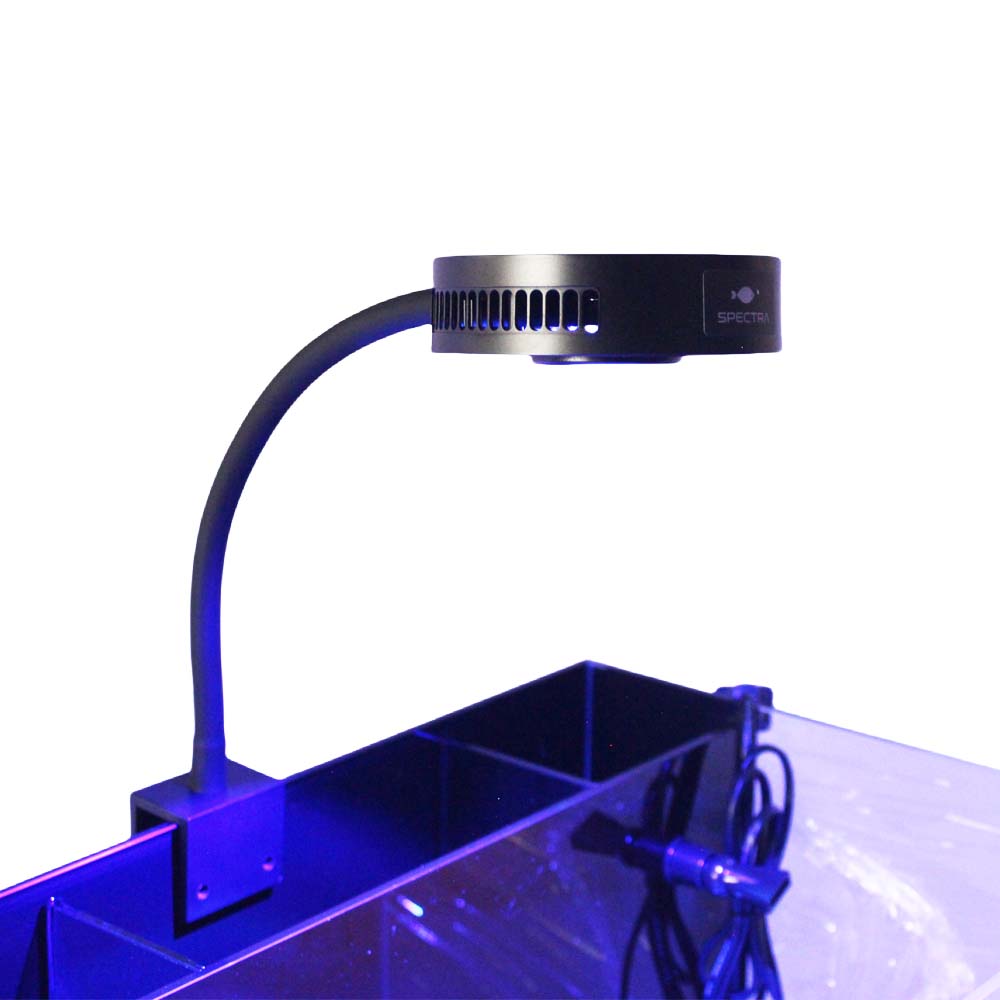 Aquaknight V2 Marine Reef Ligh – Aquarium Marine Fishes Bewertung und Preis