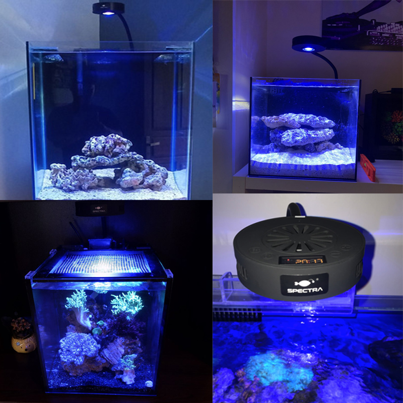 Aquaknight V2 Marine Reef Ligh – Aquarium Marine Fishes Bewertung und Preis