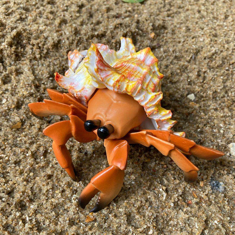 Simulierte Einölkrabbe Künstli – Marine Aquarium Europe Bewertung und Preis
