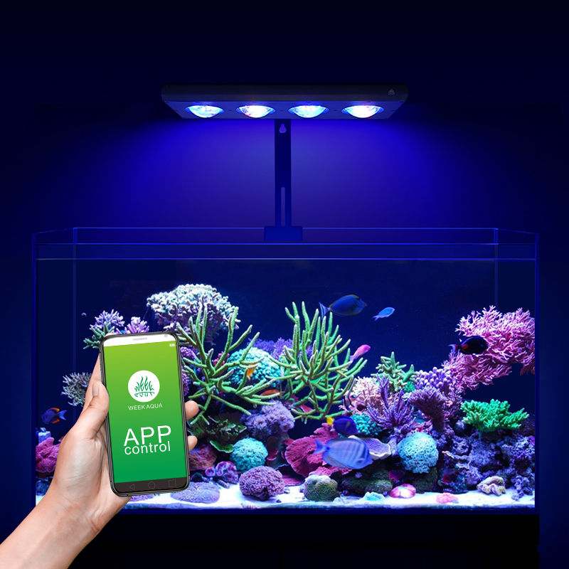 ZXY Heißer Verkauf WEEKAQUA Z2 – Aquarium Blue Marine Bewertung und Preis