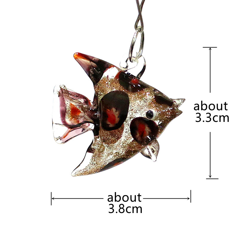 Niedliche Meeres fisch charme  – Marine Aquarium Europe Bewertung und Preis