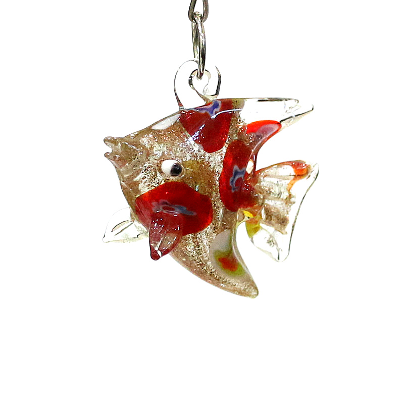 Niedliche Meeres fisch charme  – Marine Aquarium Europe Bewertung und Preis