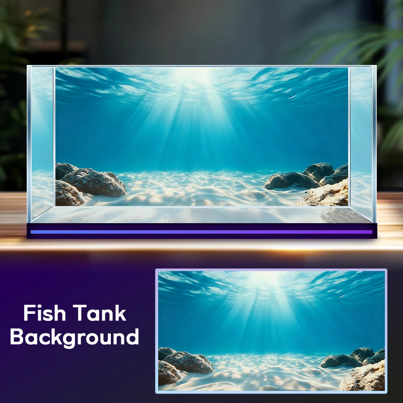 Blaues Meeres-Klarbild-Sandbil – Marine Aquarium Glue Bewertung und Preis