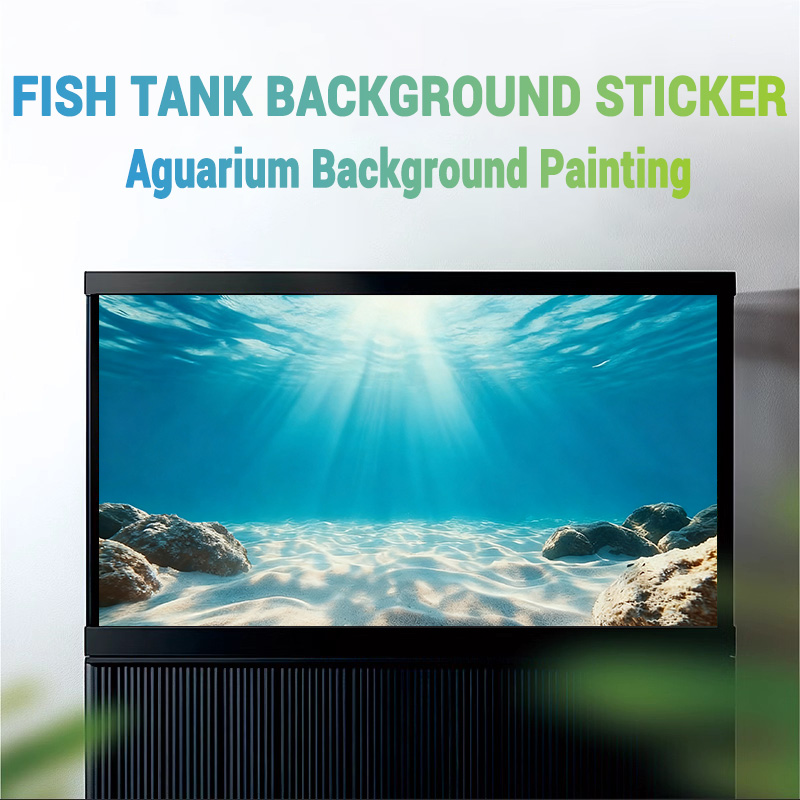 Blaues Meeres-Klarbild-Sandbil – Marine Aquarium Glue Bewertung und Preis