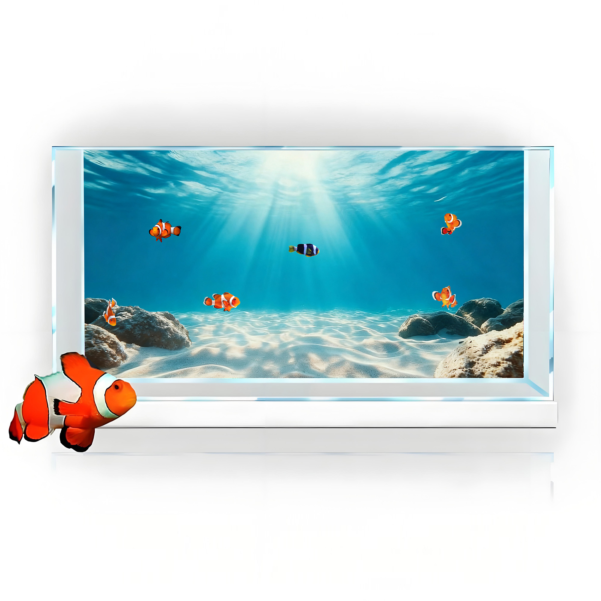 Blaues Meeres-Klarbild-Sandbil – Marine Aquarium Glue Bewertung und Preis