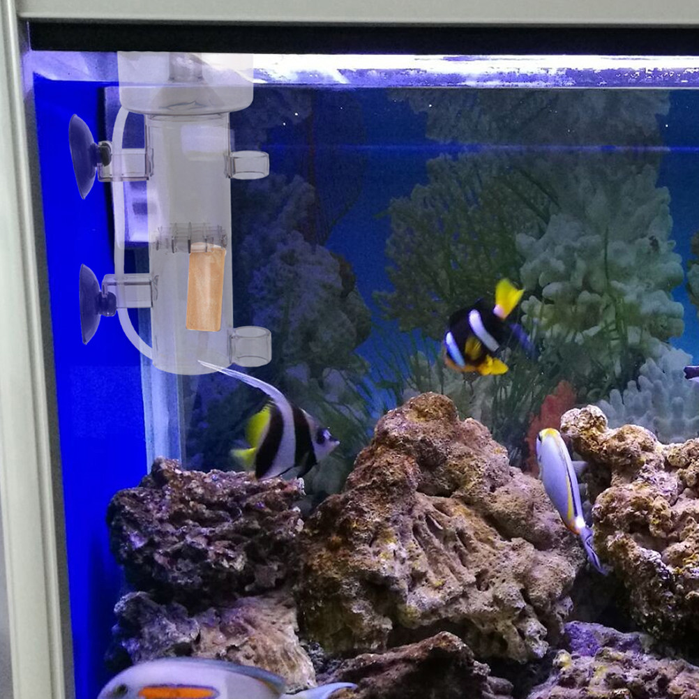 Proteinabschäumer, interner Mi – Aquarium Marine Fishes Bewertung und Preis