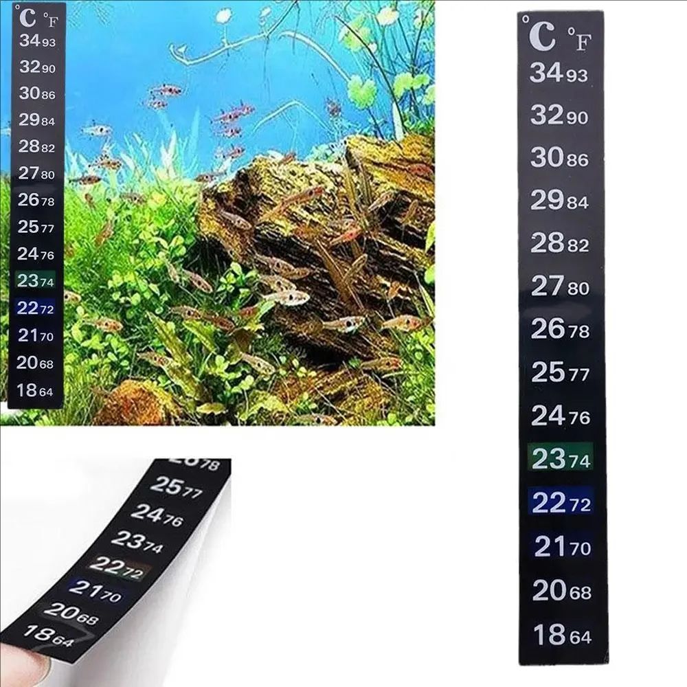 5er/10er-Pack Aquarium-Thermom – Marine Aquarium Glue Bewertung und Preis