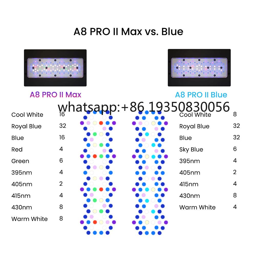 2026-A8 PRO II Max und Blue 24 – Marine Aquarium & Regional Centre Photos Bewertung und Preis