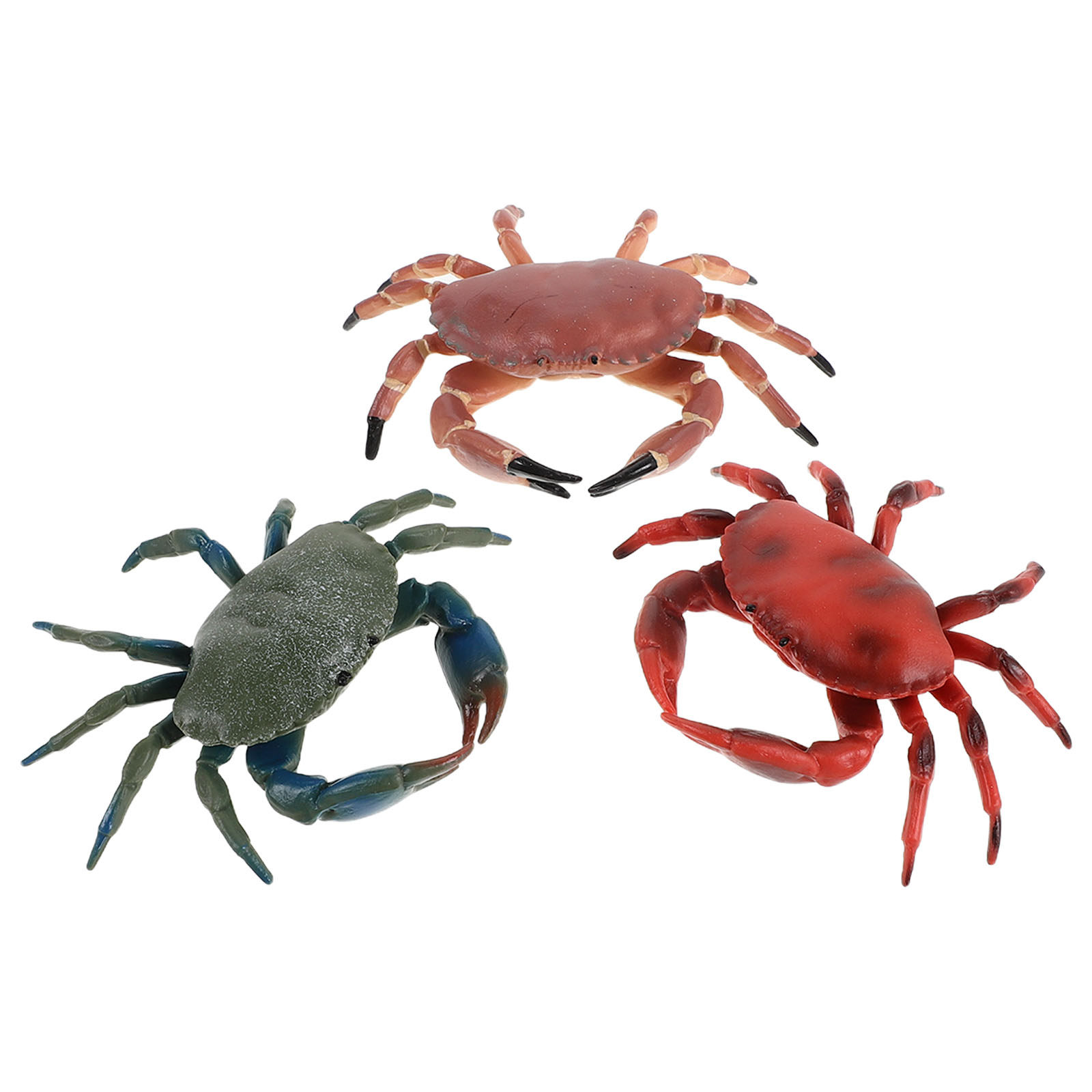 3-teiliges Set Realistische Pl – Marine Aquarium Europe Bewertung und Preis
