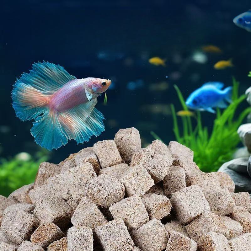 Natürliche gefriergetrocknete  – Marine Aquarium Worms Bewertung und Preis