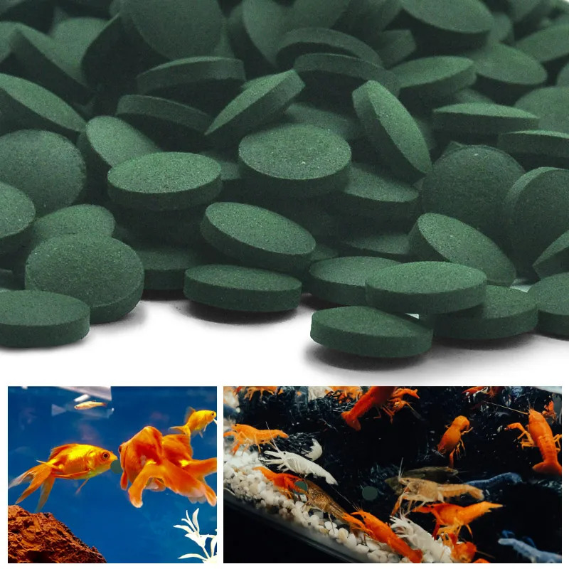 50–300 Stück hochreine Spiruli – Marine Aquarium Bacteria Bewertung und Preis
