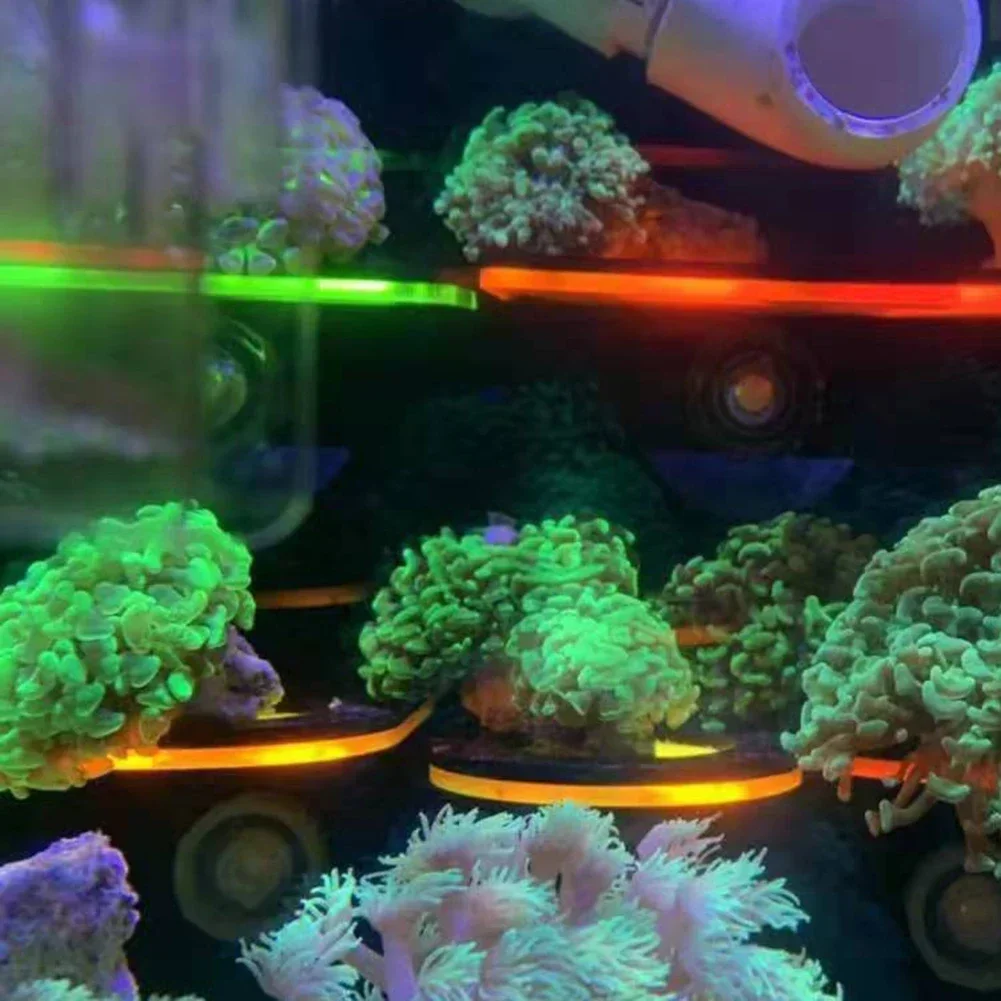 Aquarium Acryl Fluoreszierende – Aquarium Marine Fishes Bewertung und Preis