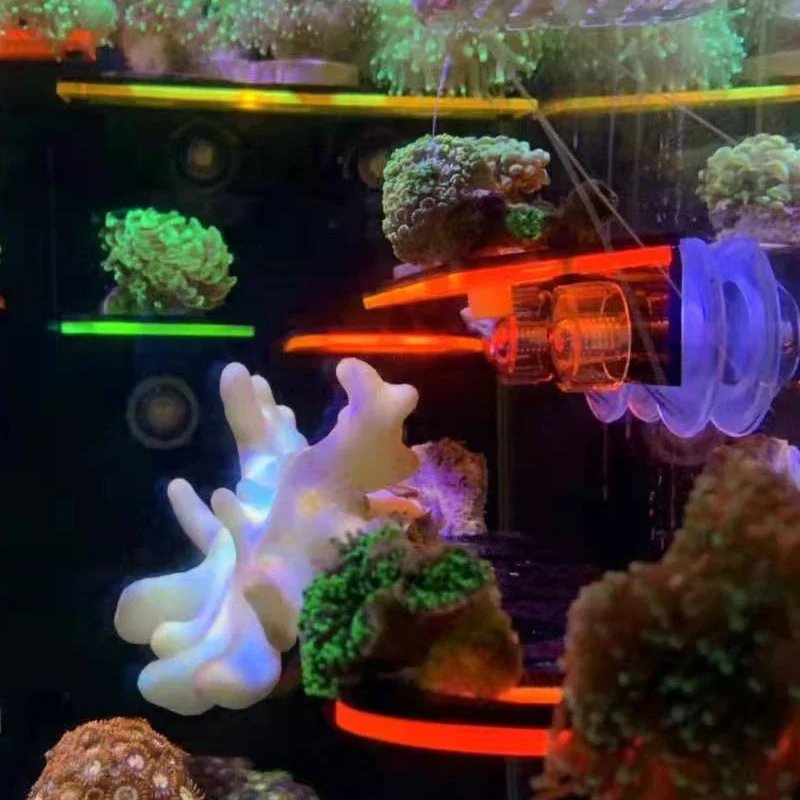 Aquarium Acryl Fluoreszierende – Aquarium Marine Fishes Bewertung und Preis