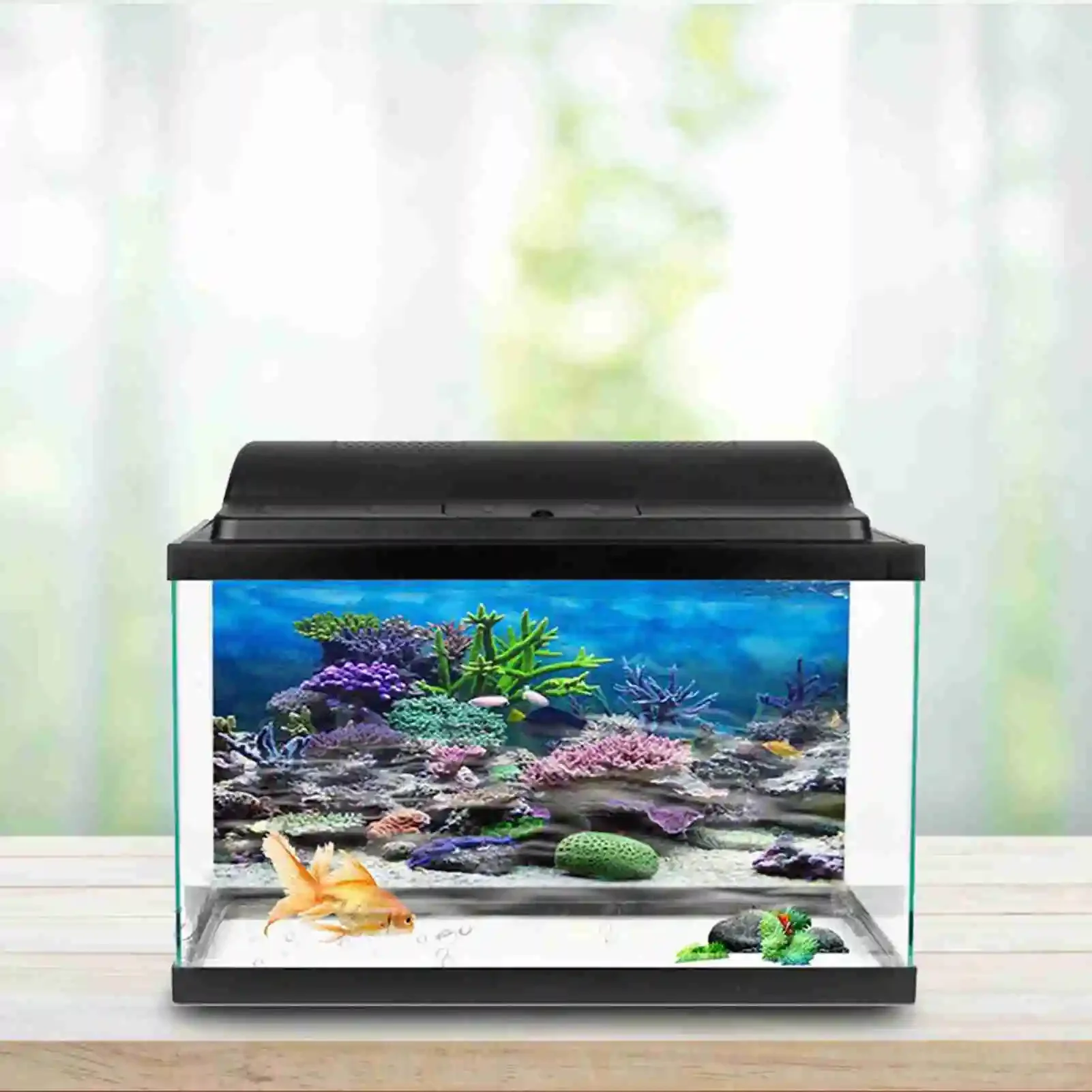 3d Aquarium Landschaft Poster  – Marine Aquarium Glue Bewertung und Preis