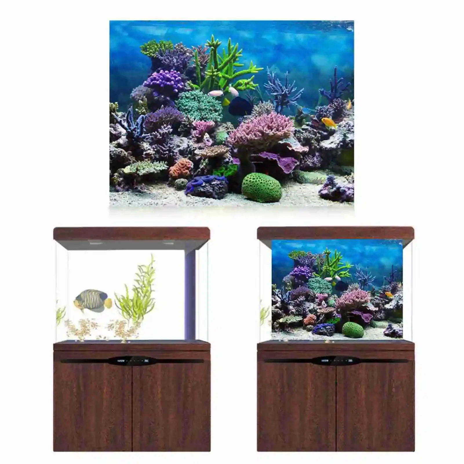 3d Aquarium Landschaft Poster  – Marine Aquarium Glue Bewertung und Preis