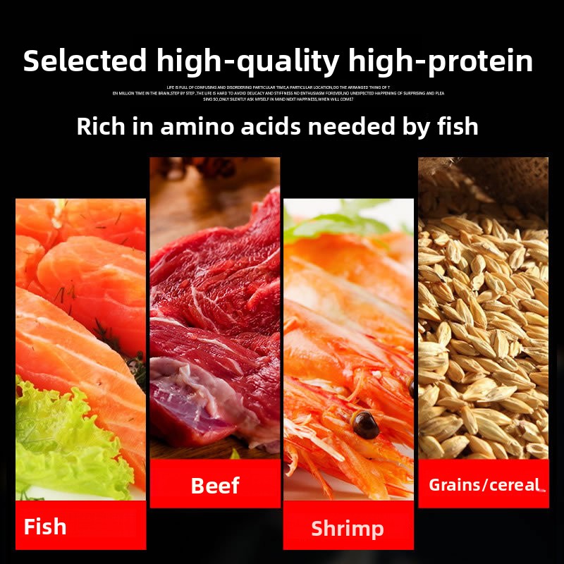 SUNSUN Koi Zierfisch Goldfisch – Marine Aquarium Return Pump Bewertung und Preis