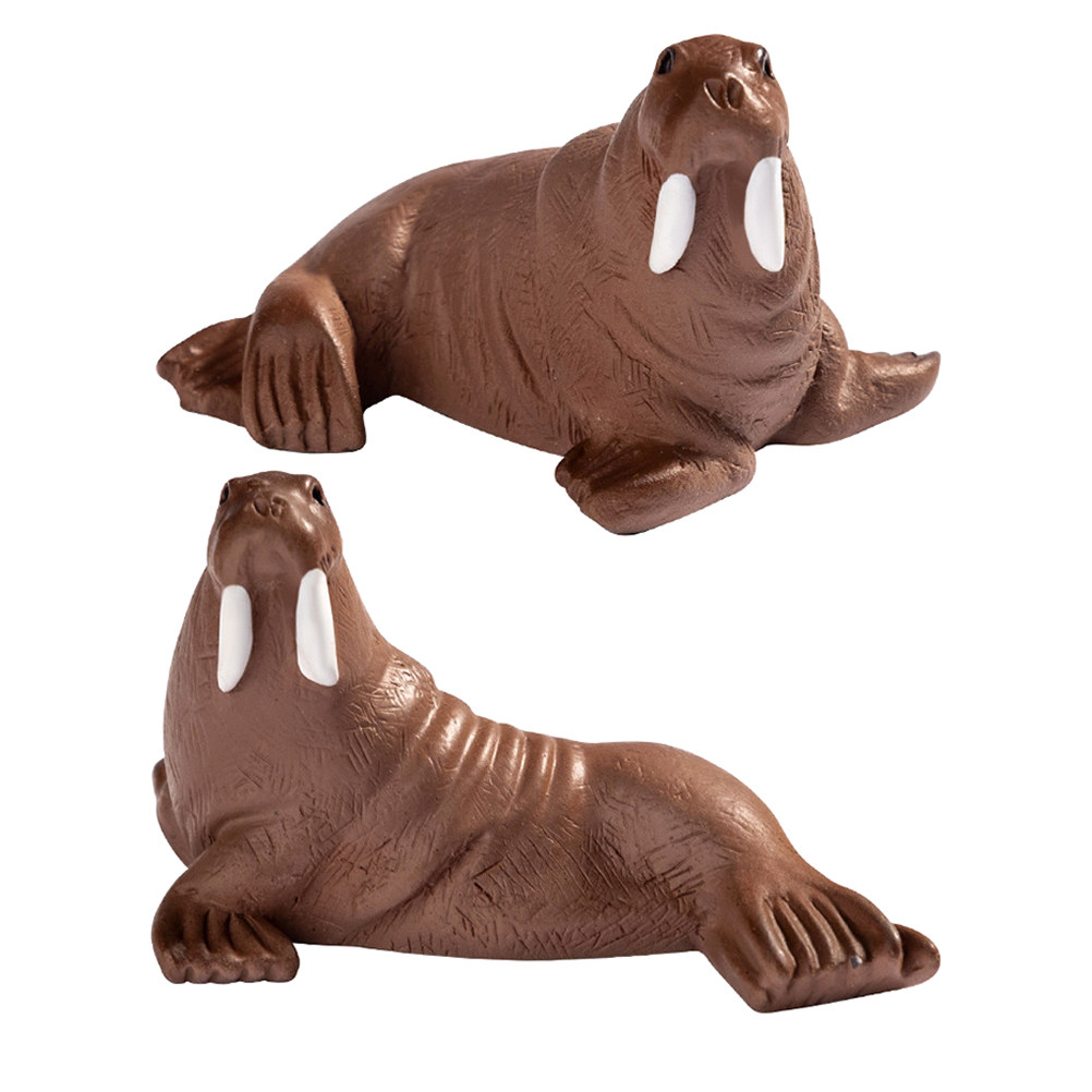 2 Stück Mini Walross-Figuren a – Marine Aquarium & Regional Centre Photos Bewertung und Preis